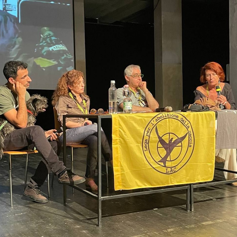 Incontro con Katia Impellittiere