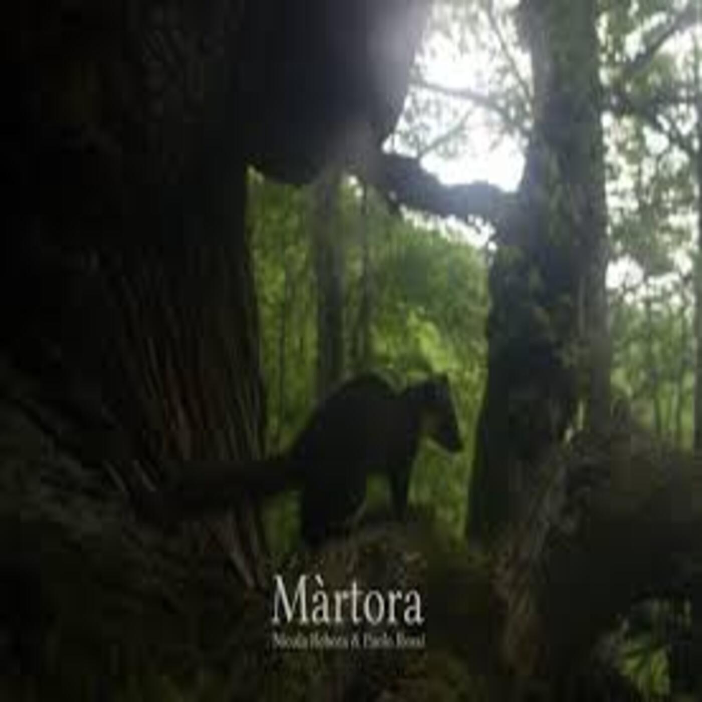 Considera l’armadillo di giovedì 05/03/2026