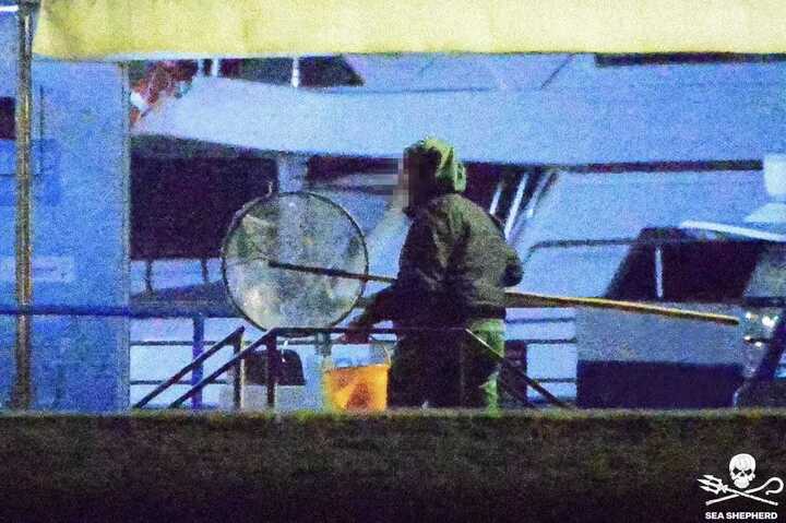 Considera l’armadillo di giovedì 08/01/2026