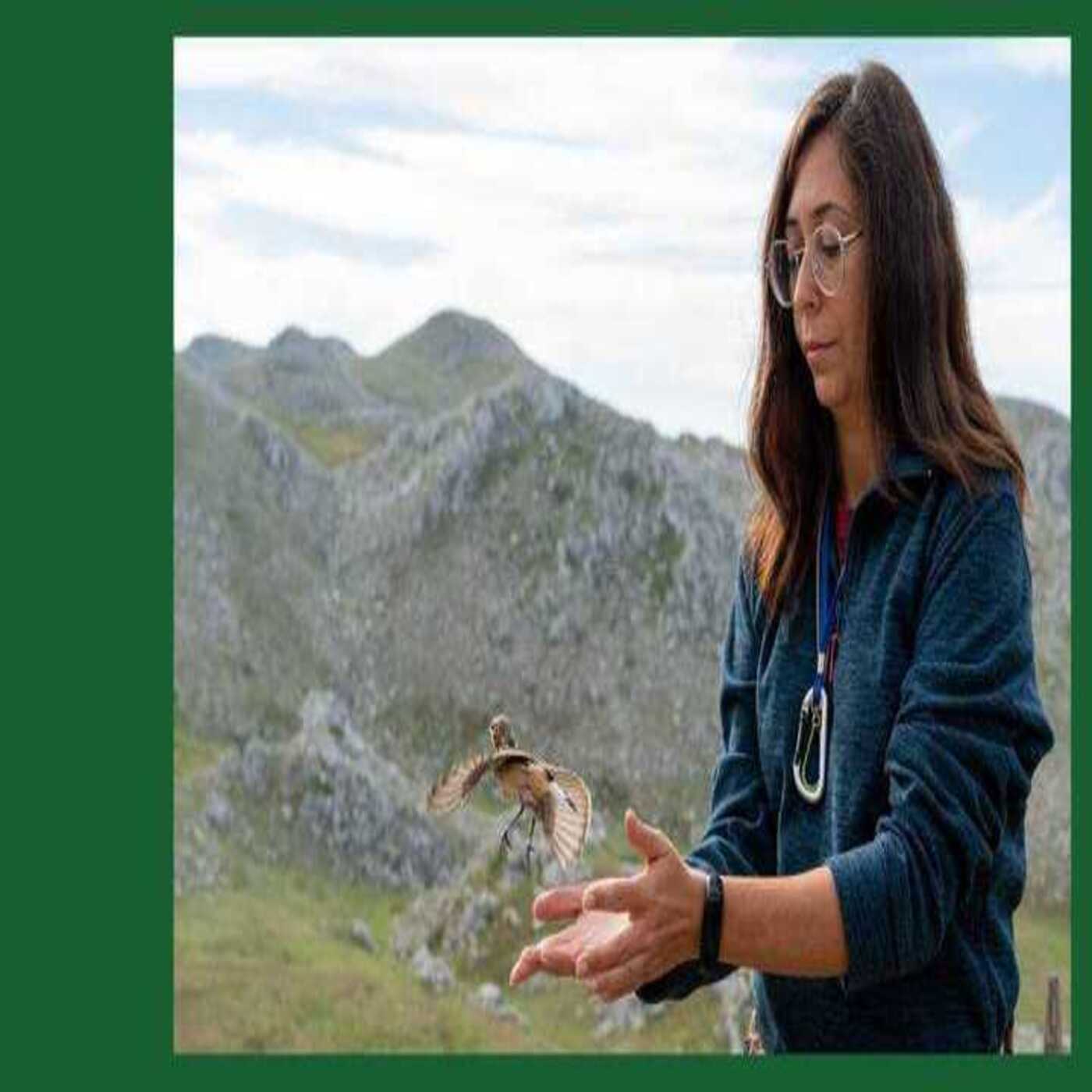 Considera l’armadillo di martedì 10/03/2026