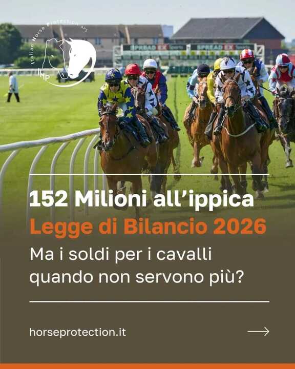 Considera l’armadillo di lunedì 12/01/2026