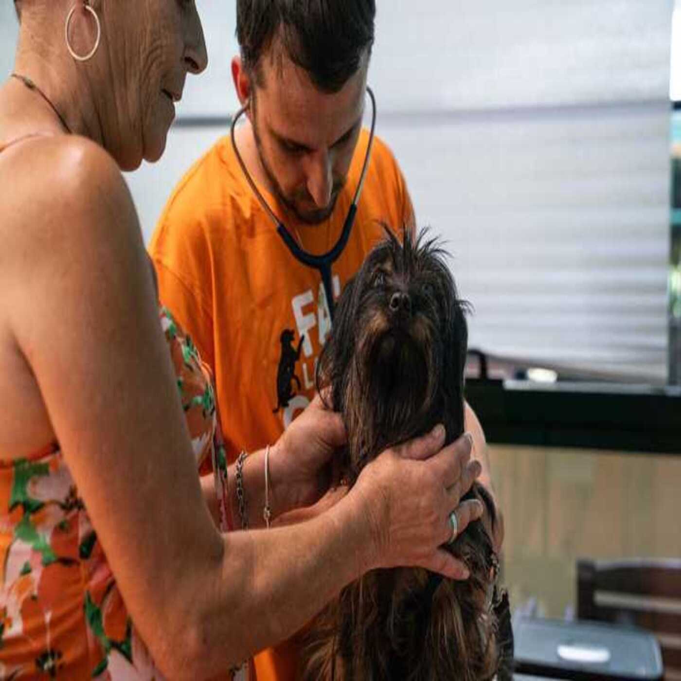 Considera l’armadillo di mercoledì 18/03/2026