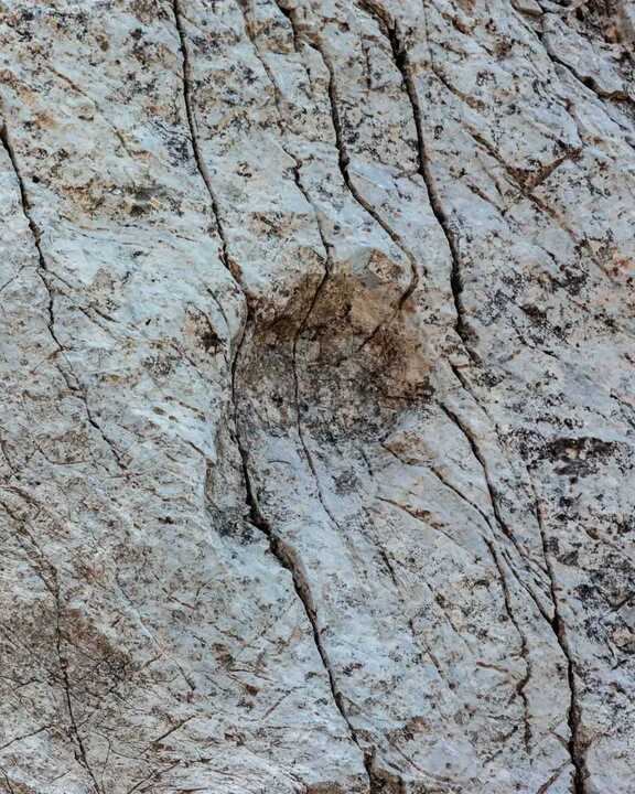 Considera l’armadillo di lunedì 22/12/2025