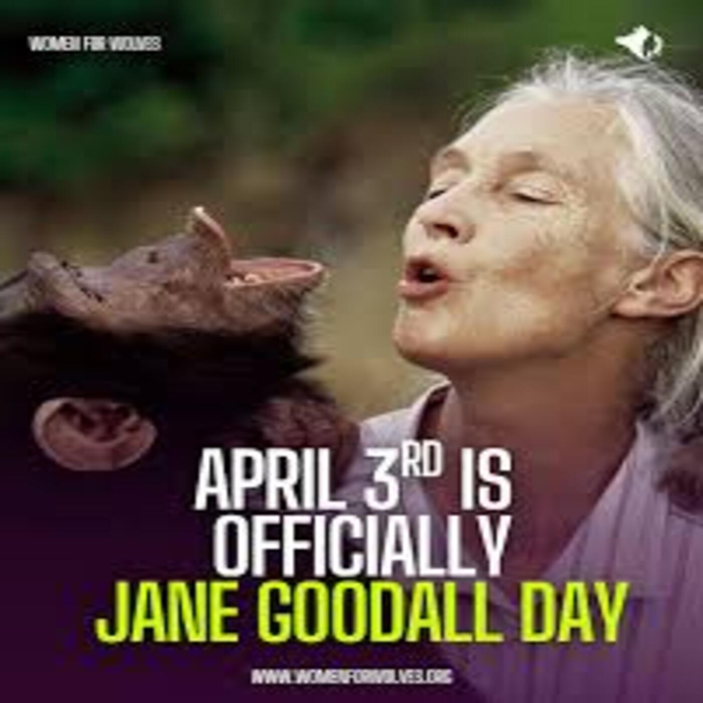 Considera l’armadillo di martedì 31/03/2026