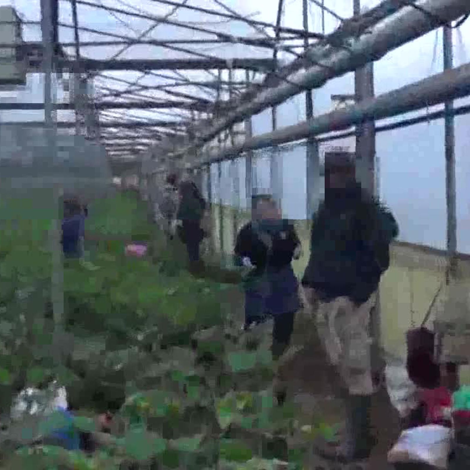 Braccianti: si muore anche da regolari