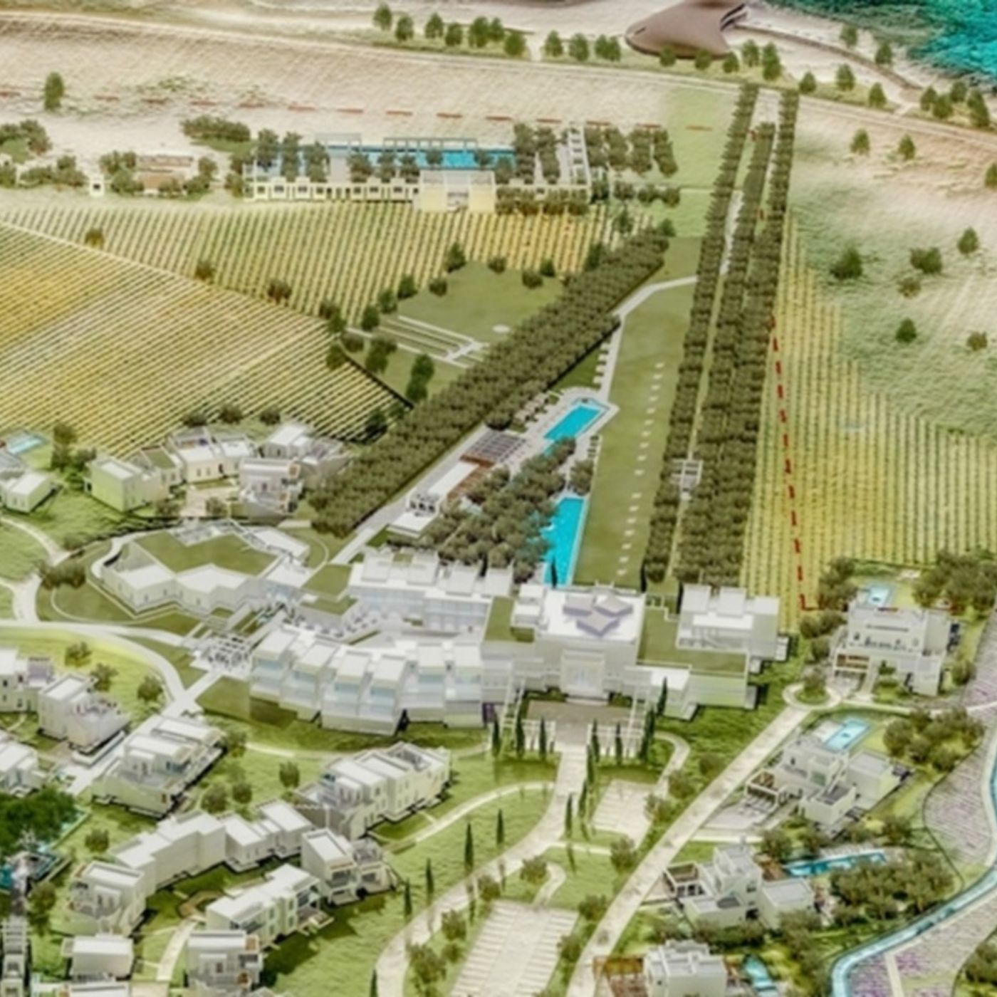Stop al resort di lusso a Ostuni. Legambiente Puglia: "È l'ultimo spazio rimasto di una costa già antropizzata"