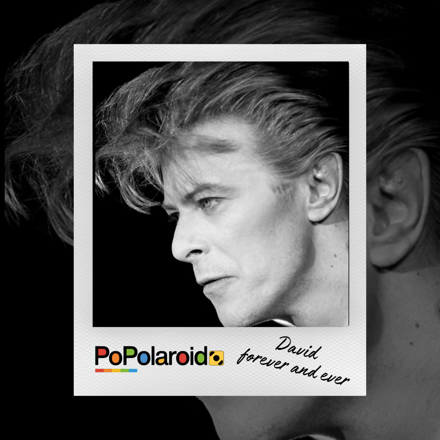 PoPolaroid - David forever and ever -14/01/2026